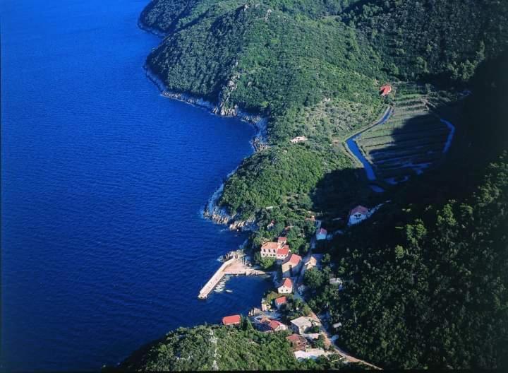 Polly Apartments With Swimming Pool Babino Polje Екстер'єр фото